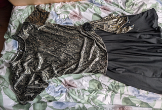 Robe vintage brillante taille basse argentée et noire avec motif zèbre