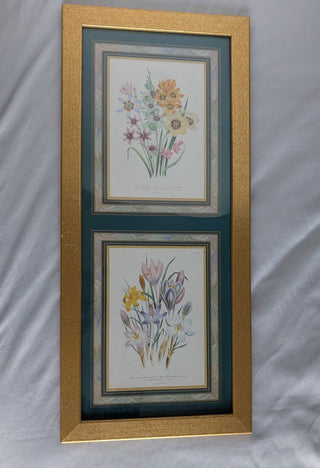 Artwork: Two Floral Specimens (vertical) prints